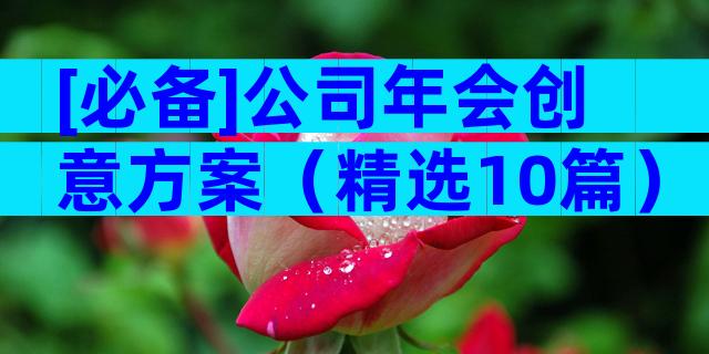 [必备]公司年会创意方案（精选10篇）